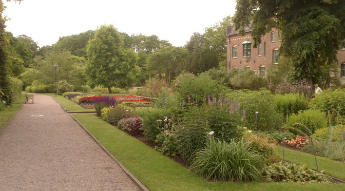 vacker rabatt botaniska trädgården Lund